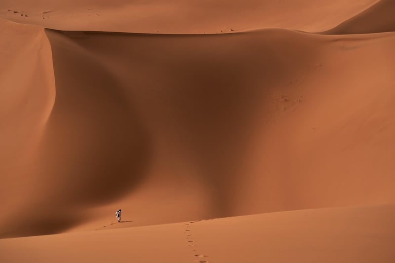 Desert Exploration